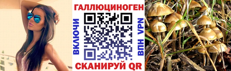 Галлюциногенные грибы мицелий  Бор 