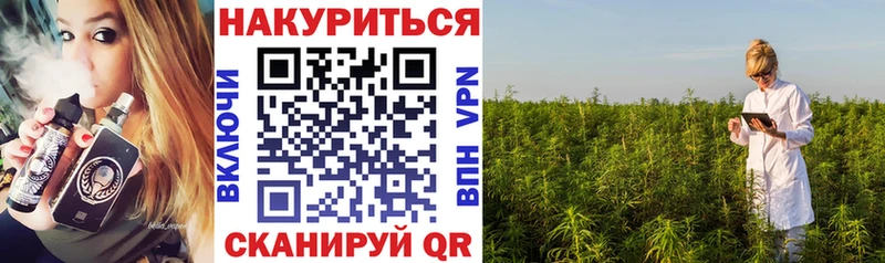 где найти   Бор  Шишки марихуана тримм 